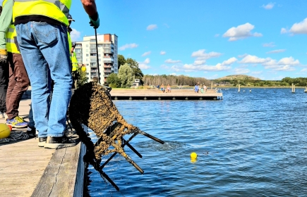 Dykare från Rena Botten söker efter skrot vid kajen och Rotary drar upp det.